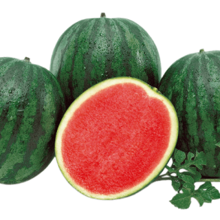 Gentility 3F-2398(2)